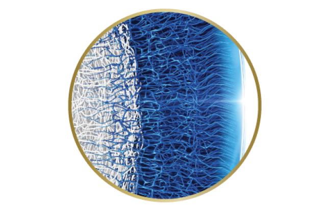 Surface of eye showing gradual transition of water content from the core to nearly 100% at the lens surface